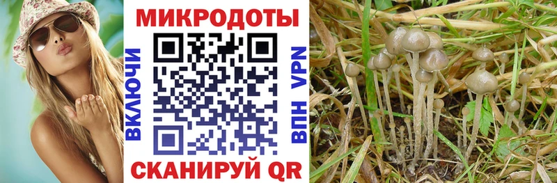 Галлюциногенные грибы Magic Shrooms kraken как зайти Большой Камень