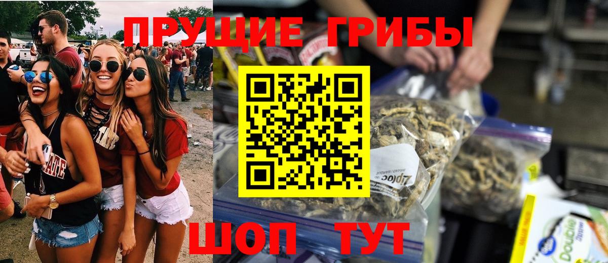 Большой Камень  Галлюциногенные грибы Psilocybine cubensis  Вход с VPN 