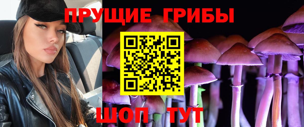 Галлюциногенные грибы Cubensis  Большой Камень 