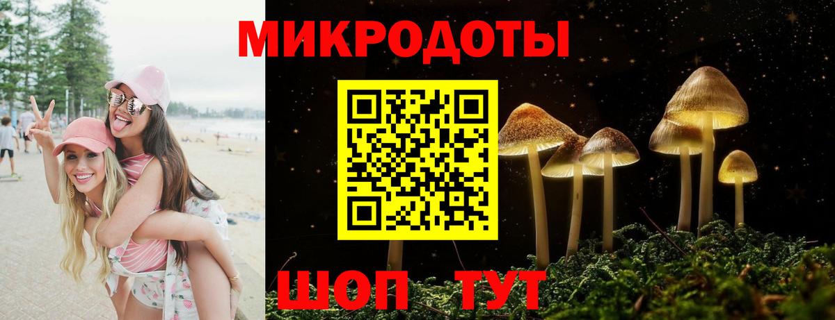 Галлюциногенные грибы Psilocybine cubensis Большой Камень