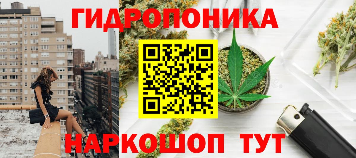 Конопля OG Kush Большой Камень